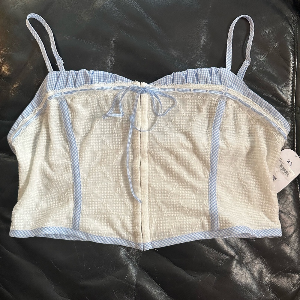 ARULA Skye Corset Top Blue and White Gingham Crop Top